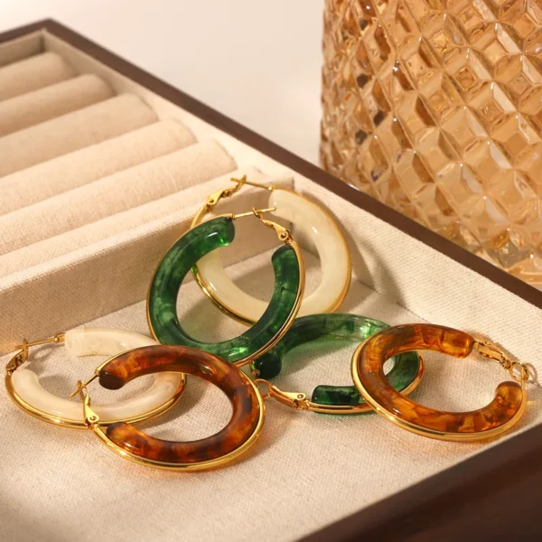 Vintage Style Geometric 304 Stainless Steel Resin Titanium Steel Earring
